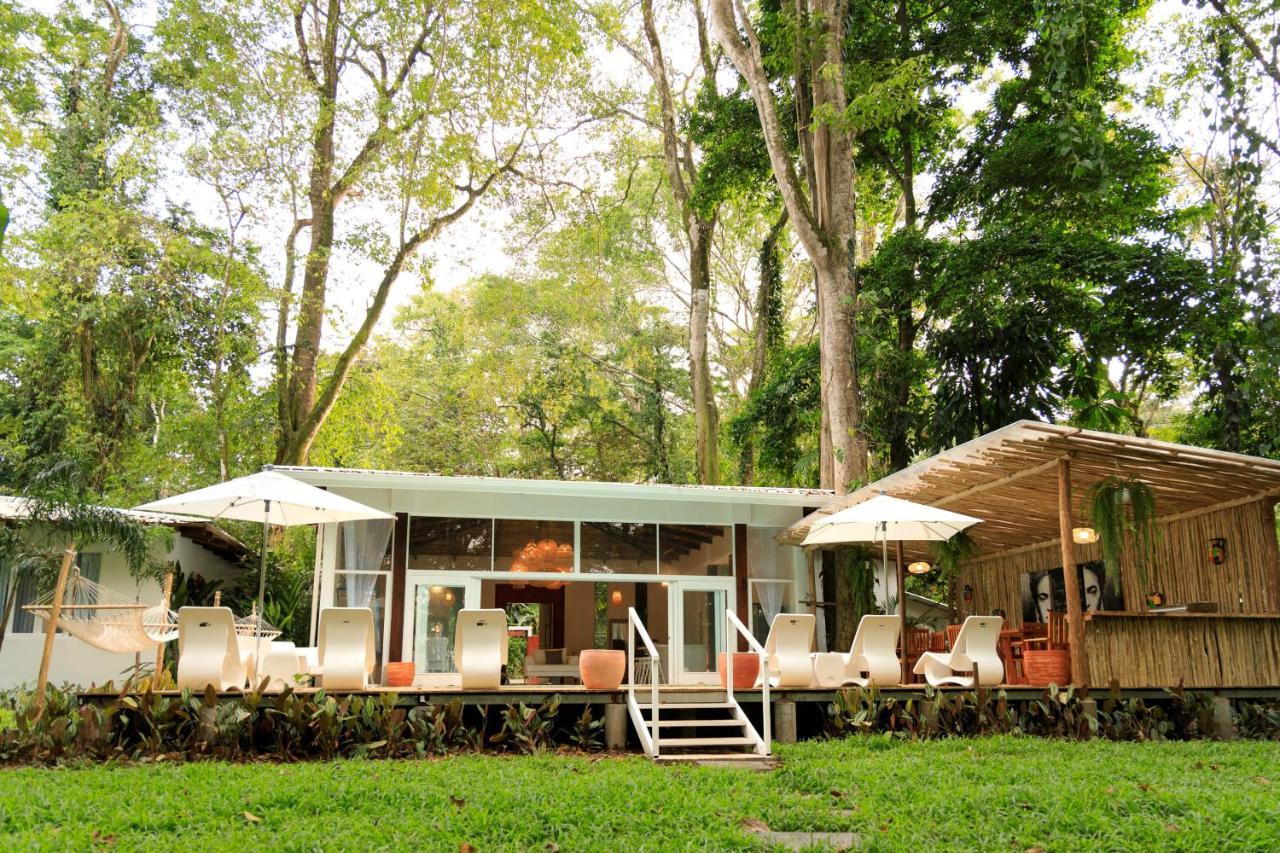 Gigi Brown Villa Frida Beachfront Puerto Viejo de Talamanca Esterno foto