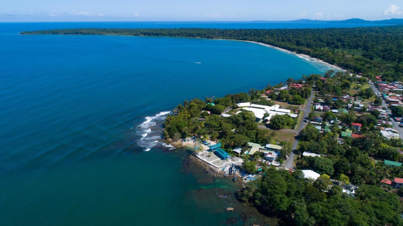 Gigi Brown Villa Frida Beachfront Puerto Viejo de Talamanca Esterno foto